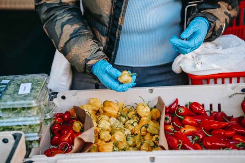 Have you ever dreamed of starting your very own business? Here's the brief guide that makes opening a new grocery store simple.